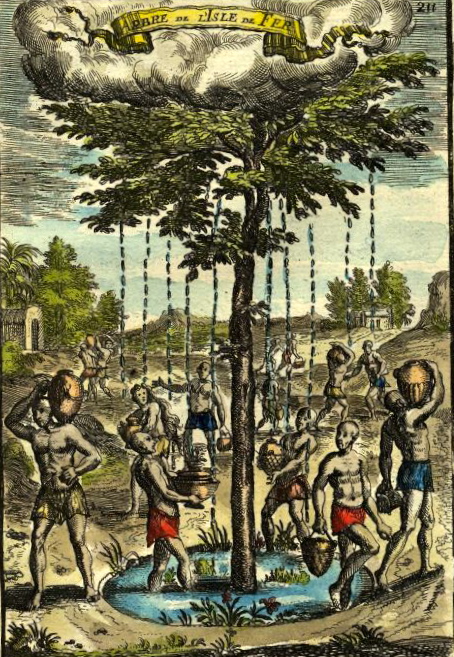 Der Garoé-Baum in einer Radierung aus dem Jahr 1683.